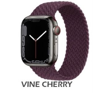 Apple iWatch elastic band